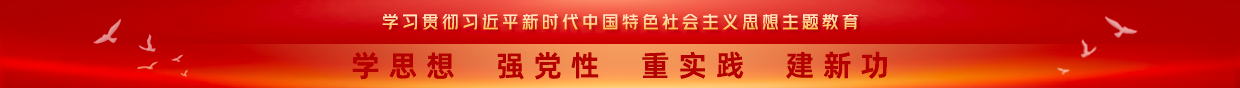 学习贯彻习近平新时代中国特色社会主义思想主题教育